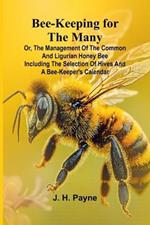 A Young Man in a Hurry, and Other Short Stories (Edition1)