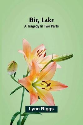 Susan Clegg and Her Neighbors' Affairs (Edition1) - Lynn Riggs - cover