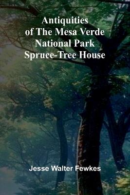 The Pursuit of Happiness A Book of Studies and Strowings (Edition1) - Jesse Walter Fewkes - cover