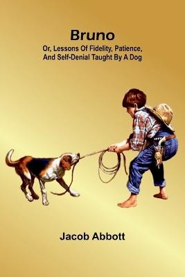 The Chaperon (Edition1) - Jacob Abbott - cover