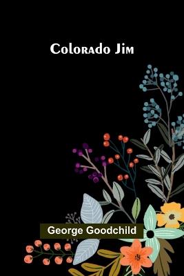 America, Volume 4 (Edition1) - George Goodchild - cover