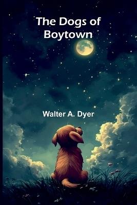 Delaware Tom or, The Traitor Guide (Edition1) - Walter A Dyer - cover
