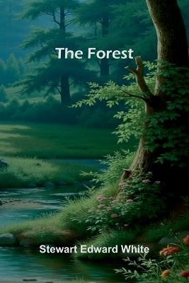 The Faery Queen and Her Knights Stories Retold from Edmund Spenser (Edition1) - Stewart Edward White - cover