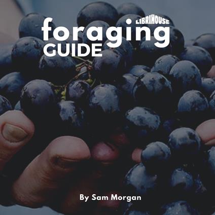 Foraging Guide