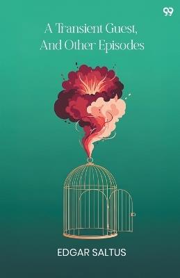 A Transient Guest, And Other Episodes (Edition1) - Edgar Saltus - cover