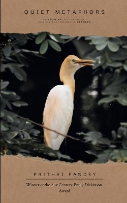 Quiet Metaphors - Prithvi Pandey - cover