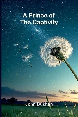 A Political Romance (Edition2) - John Buchan - cover