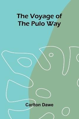 Siouan Sociology - Carlton Dawe - cover