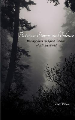 Between Storms and Silence Musings from the Quiet Corners of a Noisy World - Bint Ridwan - cover