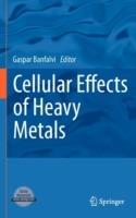 Cellular Effects of Heavy Metals