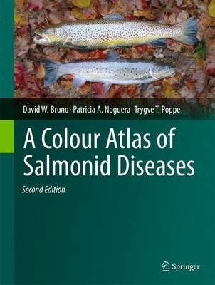 A Colour Atlas of Salmonid Diseases - David W. Bruno,Patricia A. Noguera,Trygve T. Poppe - cover