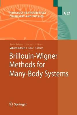 Brillouin-Wigner Methods for Many-Body Systems - Stephen Wilson,Ivan Hubac - cover