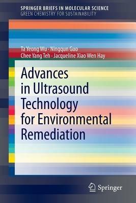 Advances in Ultrasound Technology for Environmental Remediation - Ta Yeong Wu,Ningqun Guo,Chee Yang Teh - cover