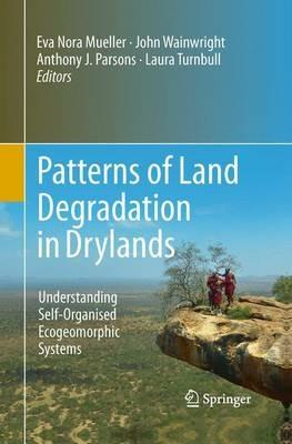 Patterns of Land Degradation in Drylands: Understanding Self-Organised Ecogeomorphic Systems - cover