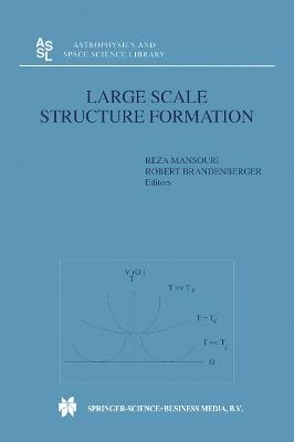 Large Scale Structure Formation - cover