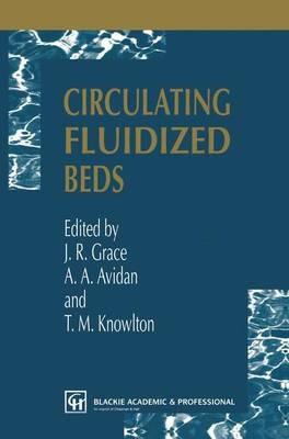 Circulating Fluidized Beds - cover