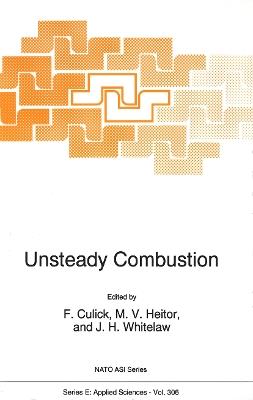 Unsteady Combustion - cover
