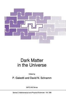 Dark Matter in the Universe - cover
