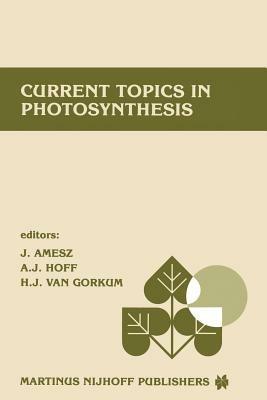 Current topics in photosynthesis: Dedicated to Professor L.N.M. Duysens on the occasion of his retirement - cover