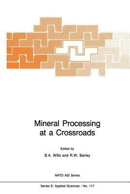 Mineral Processing at a Crossroads: Problems and Prospects - cover