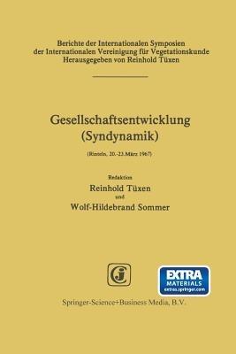 Gesellschaftsentwicklung (Syndynamik) - cover