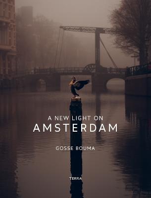 A New Light on Amsterdam - Gosse Bouma - cover