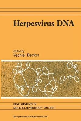 Herpesvirus DNA: Recent studies on the organization of viral genomes, mRNA transcription, DNA replication, defective DNA, and viral DNA sequences in transformed cells and bacterial plasmids - cover