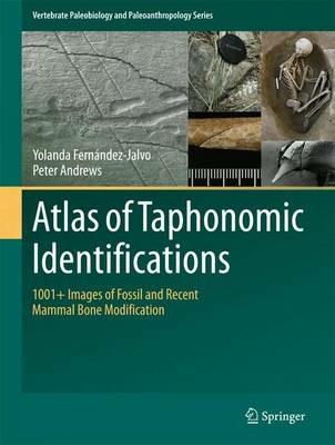 Atlas of Taphonomic Identifications: 1001+ Images of Fossil and Recent Mammal Bone Modification - Yolanda Fernandez-Jalvo,Peter Andrews - cover