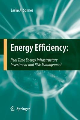 Energy Efficiency: Real Time Energy Infrastructure Investment and Risk Management - Leslie A. Solmes - cover