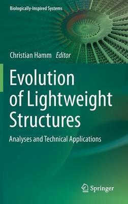 Evolution of Lightweight Structures: Analyses and Technical Applications - cover