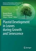 Plastid Development in Leaves during Growth and Senescence