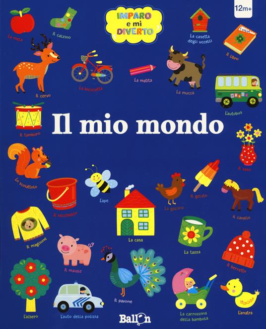 Il mio mondo. Imparo e mi diverto. Ediz. a colori - copertina