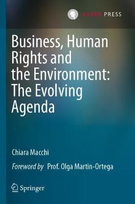 Business, Human Rights and the Environment: The Evolving Agenda - Chiara Macchi - cover