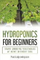 Hydroponics for Beginners: Start Growing Vegetables at Home Without Soil