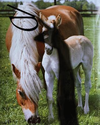 BILL Issue 5 - cover