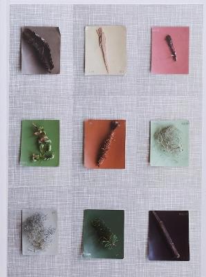 Late Spring - Debby Huysmans - cover