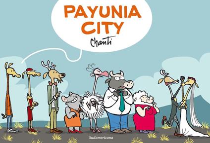 Payunia city