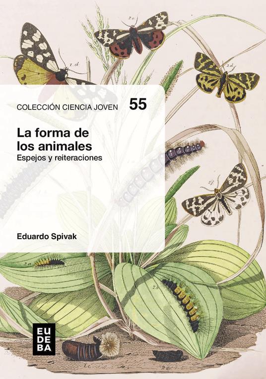 La forma de los animales