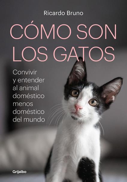 Cómo son los gatos