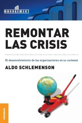 Remontar las crisis - ALDO SCHLEMENSON - cover