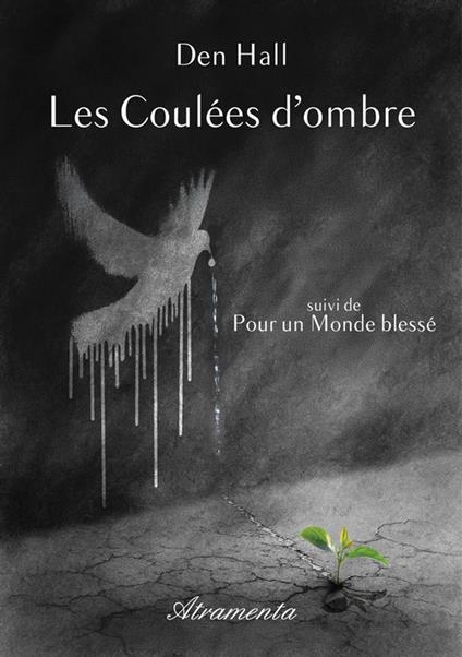 Les coulées d'ombre