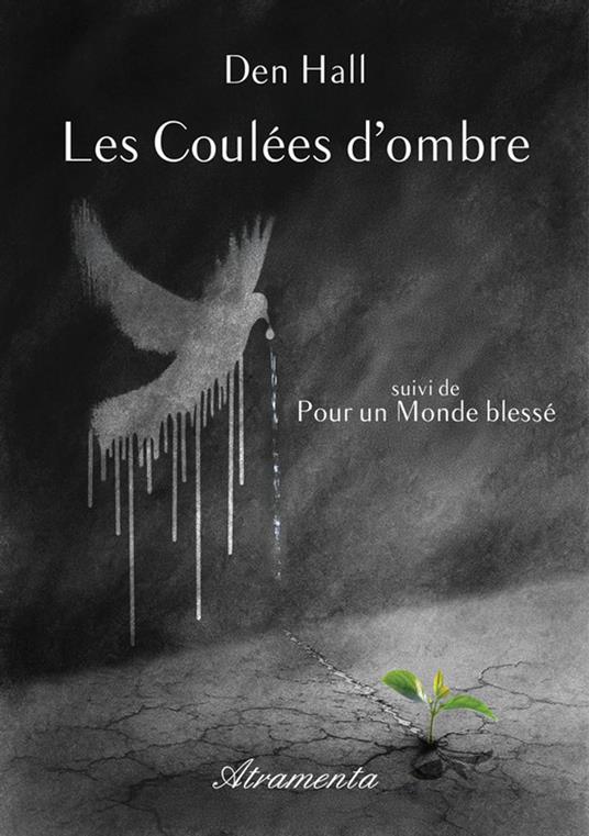 Les coulées d'ombre