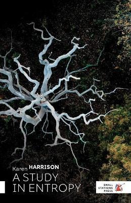 A Study in Entropy - Karen Harrison - cover
