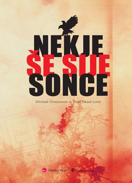 Nekje še sije sonce - Michael Gruen,Todd Hasak,Michael Todd Gruenbaum,Zala Stanonik - ebook
