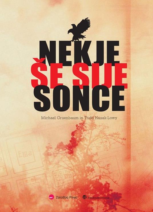 Nekje še sije sonce - Michael Gruen,Todd Hasak,Michael Todd Gruenbaum,Zala Stanonik - ebook
