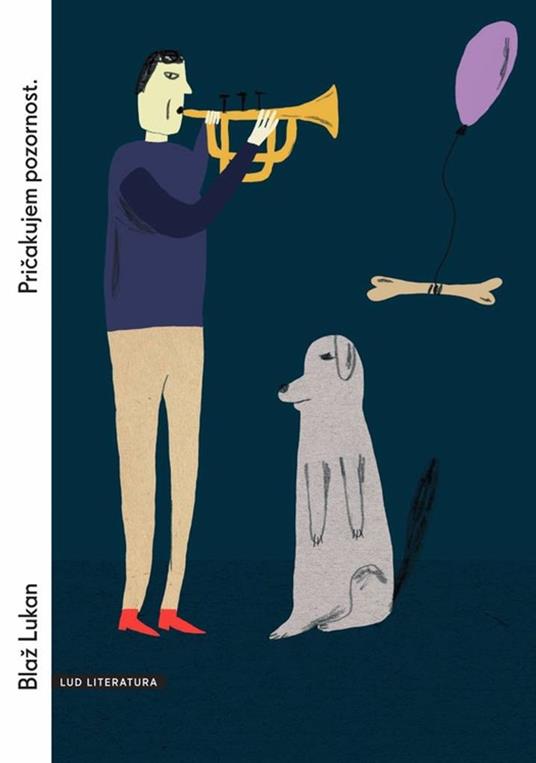 Pricakujem pozornost - Blaž Lukan - ebook