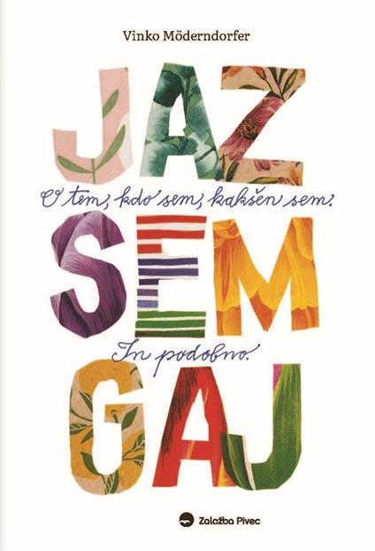 Jaz sem Gaj - Vinko Möderndorfer - ebook