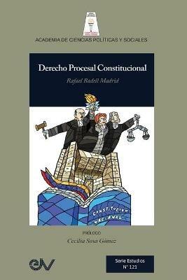 Derecho Procesal Constitucional - Rafael Badell Madrid - cover