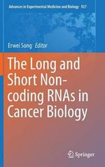 The Long and Short Non-coding RNAs in Cancer Biology