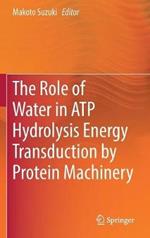 The Role of Water in ATP Hydrolysis Energy Transduction by Protein Machinery
